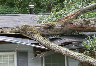 White oak tree punctures roof on house